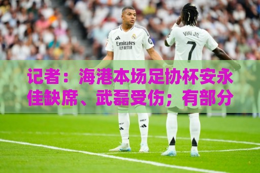 记者：海港本场足协杯安永佳缺席、武磊受伤；有部分梯队球员补充