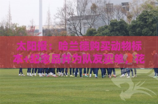 太阳报：哈兰德购买动物标本+纪念品并为队友买单，花费约1万美元