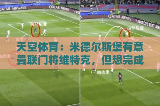 天空体育：米德尔斯堡有意曼联门将维特克，但想完成交易并不容易