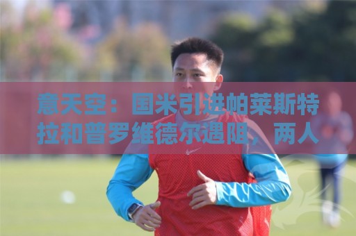 意天空：国米引进帕莱斯特拉和普罗维德尔遇阻，两人价格均超预期