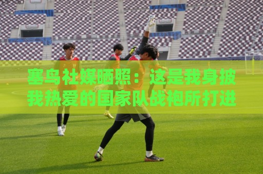塞鸟社媒晒照：这是我身披我热爱的国家队战袍所打进的第一个进球