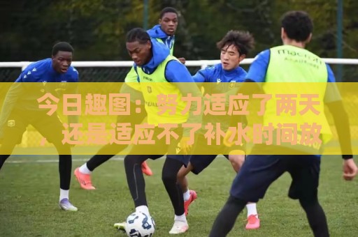 今日趣图：努力适应了两天，还是适应不了补水时间放广告……